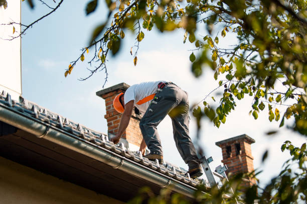 Best Roof Gutter Cleaning  in Bay St Louis, MS